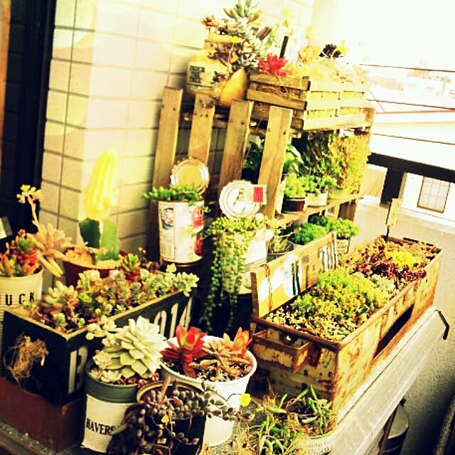 KACHI-NAさんの実例写真