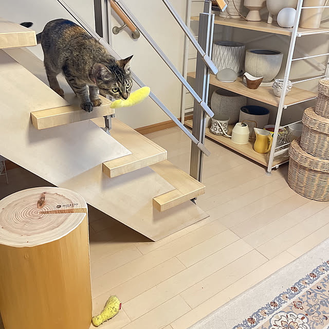 chinaさんの部屋