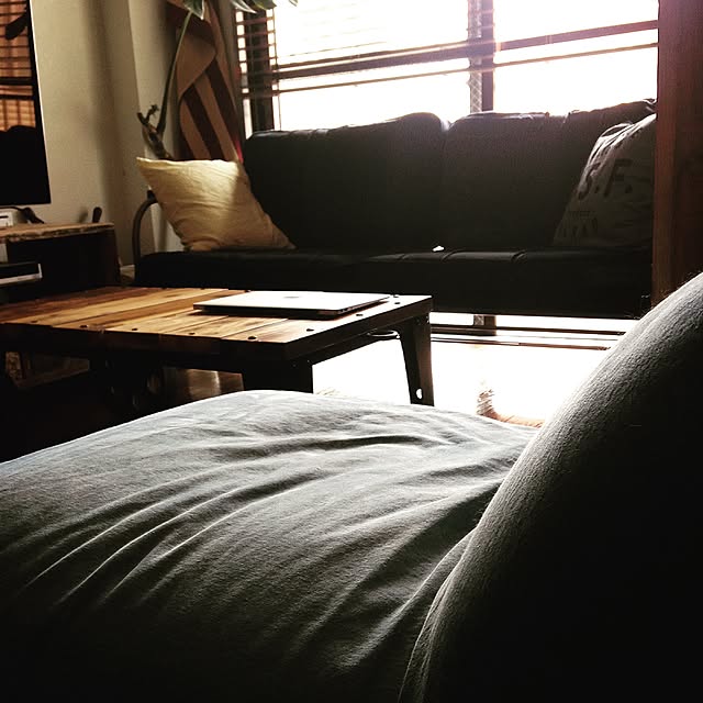 Naoki.さんの実例写真