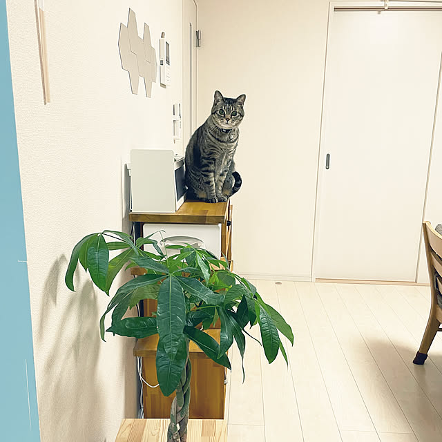 t-famさんの実例写真