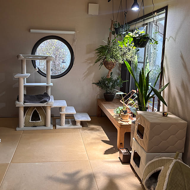 greycatsさんの実例写真