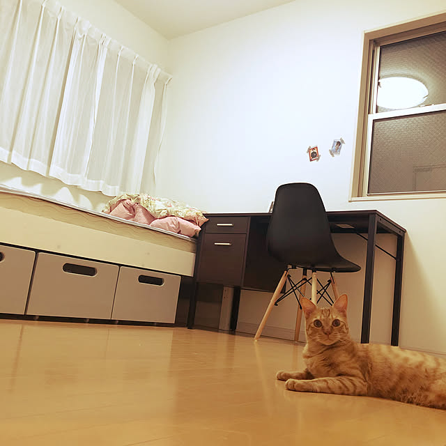 DAI.fukuさんの実例写真