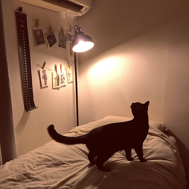 leoさんの実例写真
