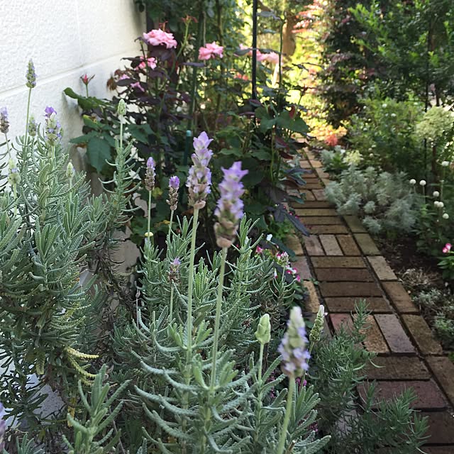 happygardenさんの実例写真
