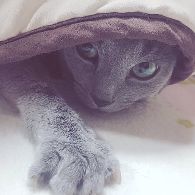 ugigoさんの実例写真