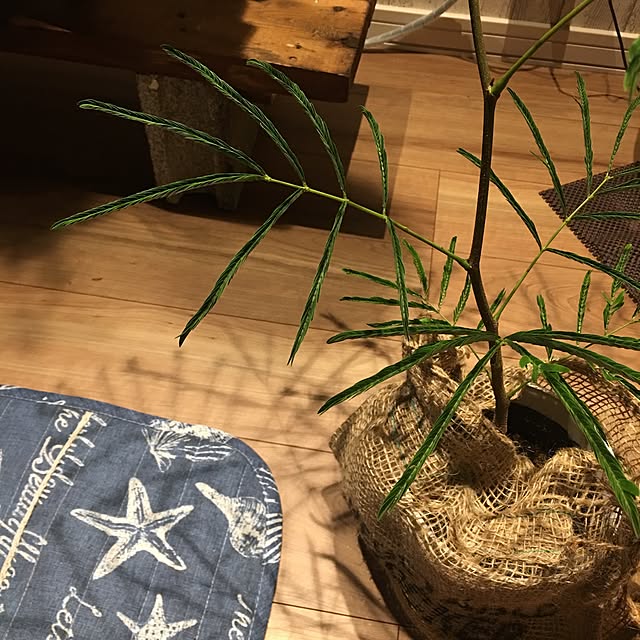 muuさんの実例写真