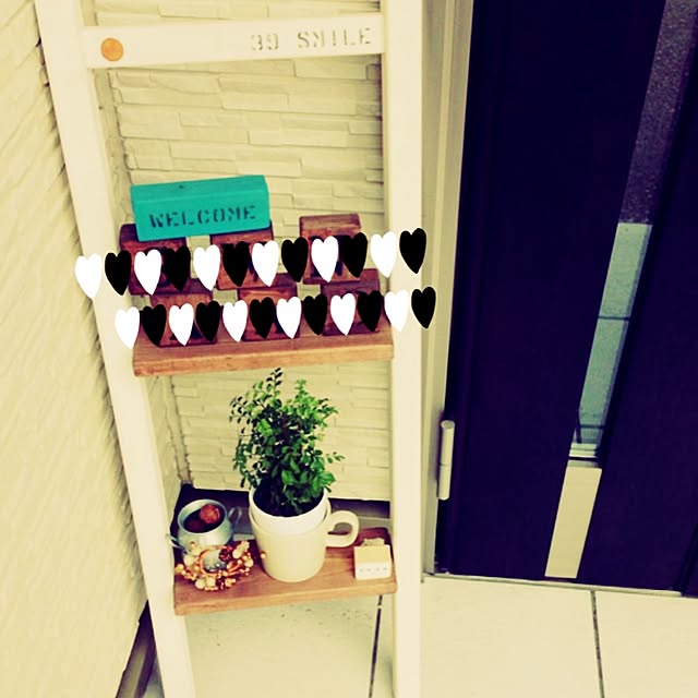 玄関/入り口/雑貨/植物/100均のインテリア実例 - 2015-02-08 10:25:11