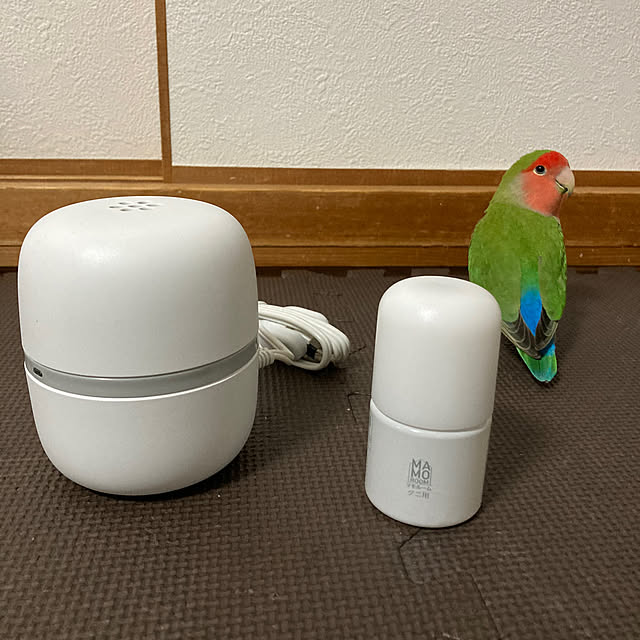 toratanさんの実例写真