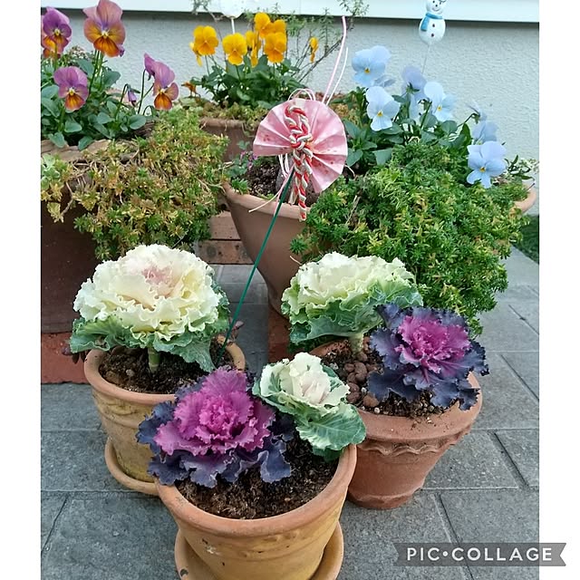 Rさんの実例写真