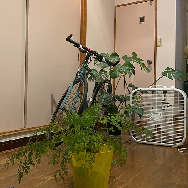 kiraさんの実例写真