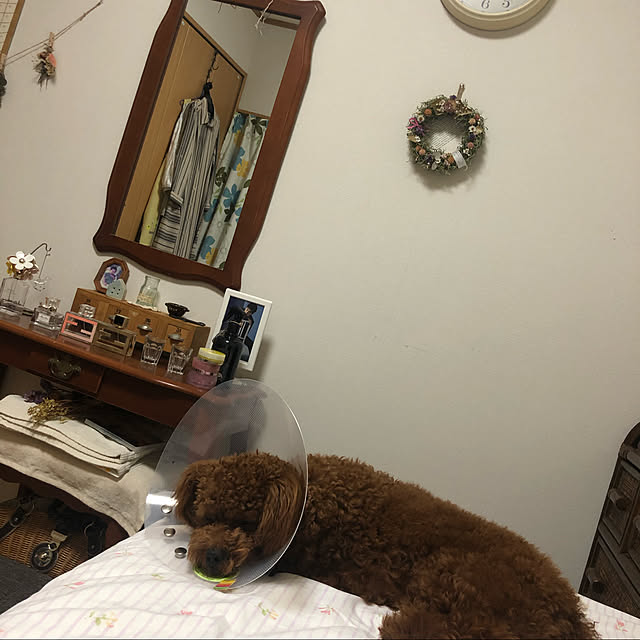 Ruyoさんの実例写真