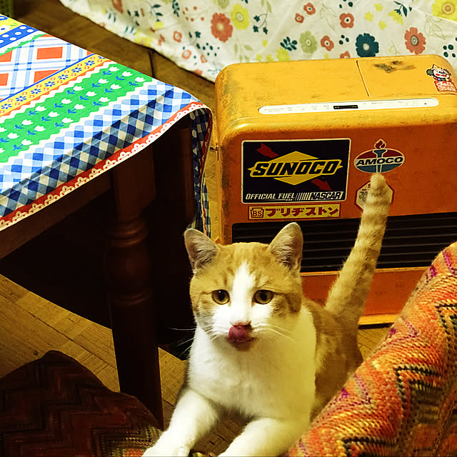 happyさんの実例写真