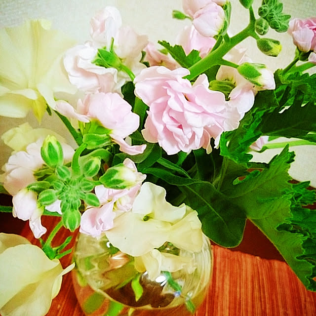 Takakoさんの実例写真