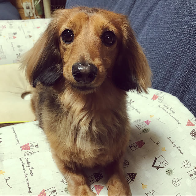 maronさんの実例写真