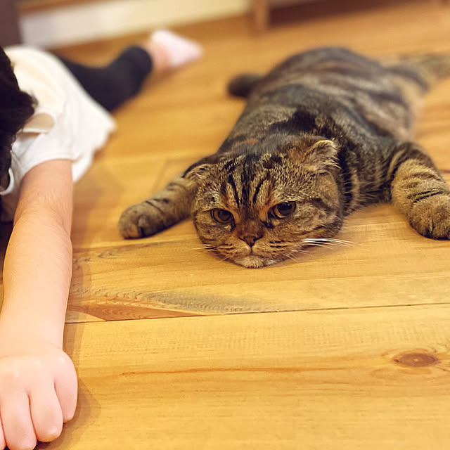 awigさんの実例写真