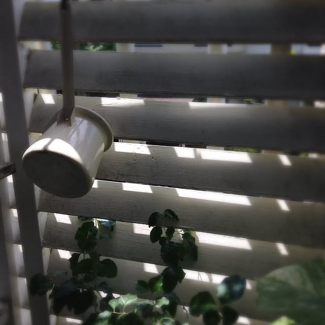 akさんの実例写真