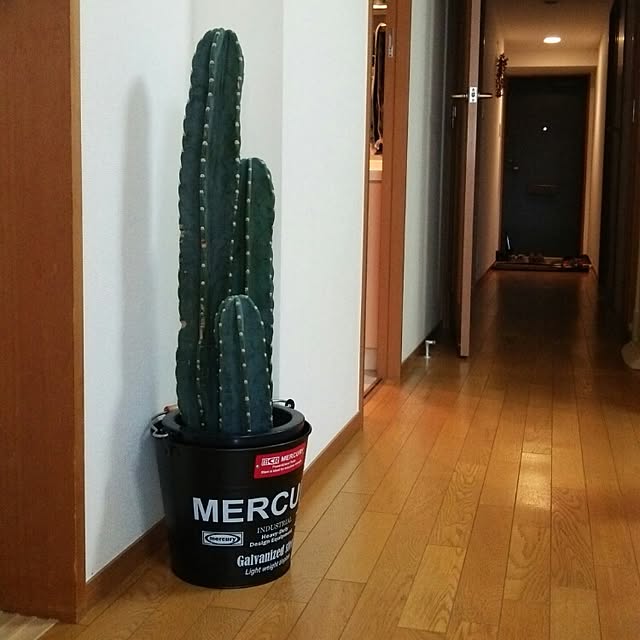 Yukiさんの実例写真