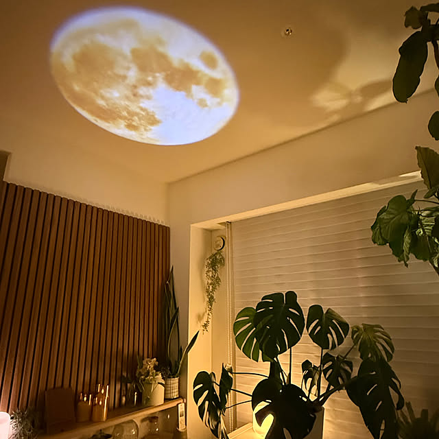 greenさんの部屋