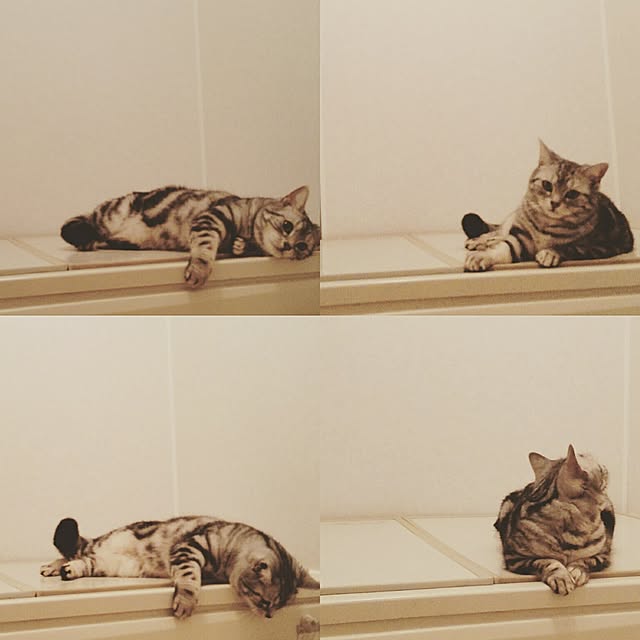 HRMK1603さんの実例写真
