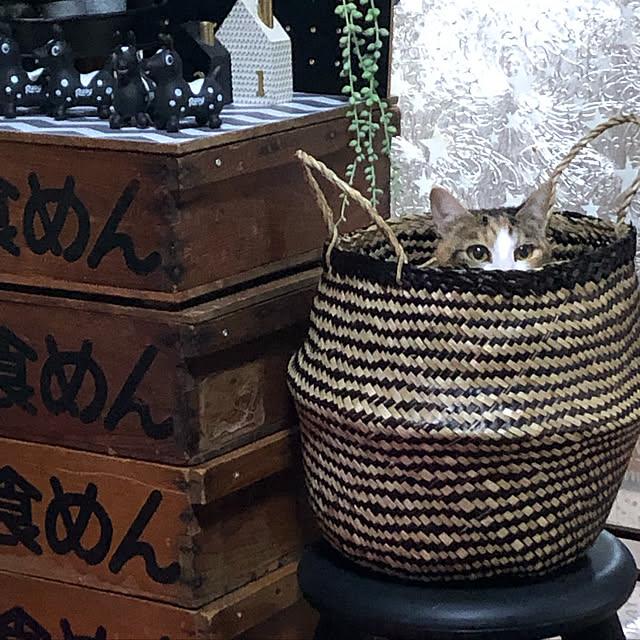 vivienne.coco-keiさんの実例写真
