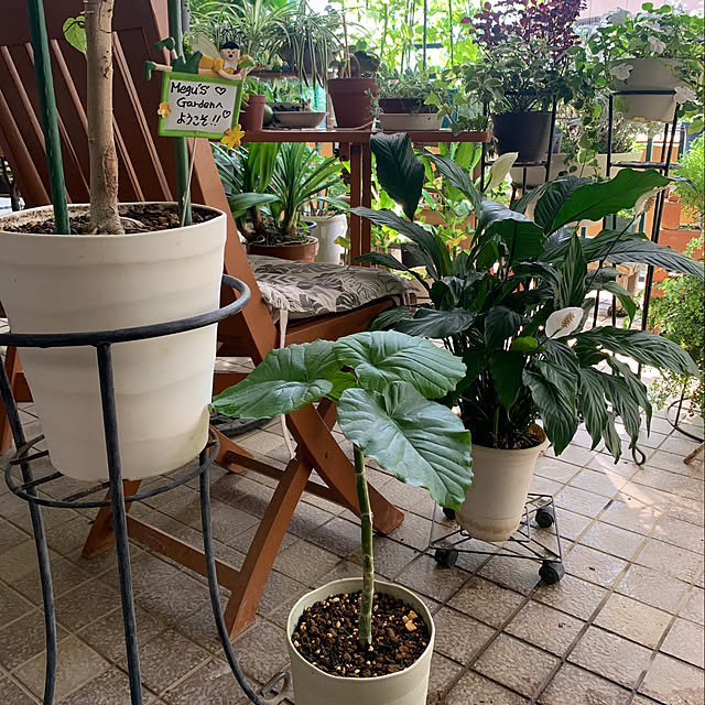 Aqettyさんの部屋