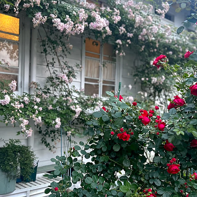 wonderparlourさんの実例写真