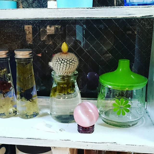 cha-baさんの実例写真