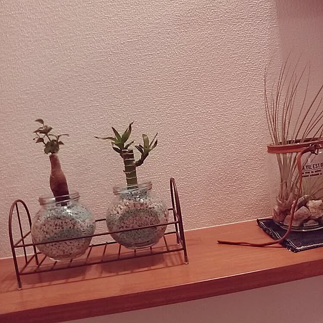 junaさんの実例写真
