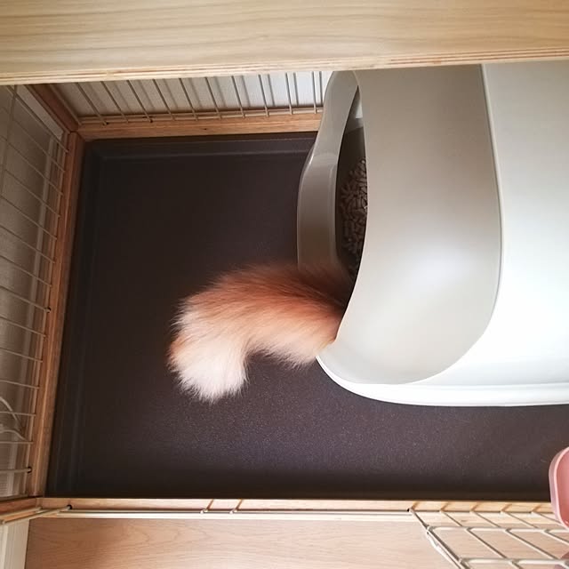 pinokoさんの実例写真