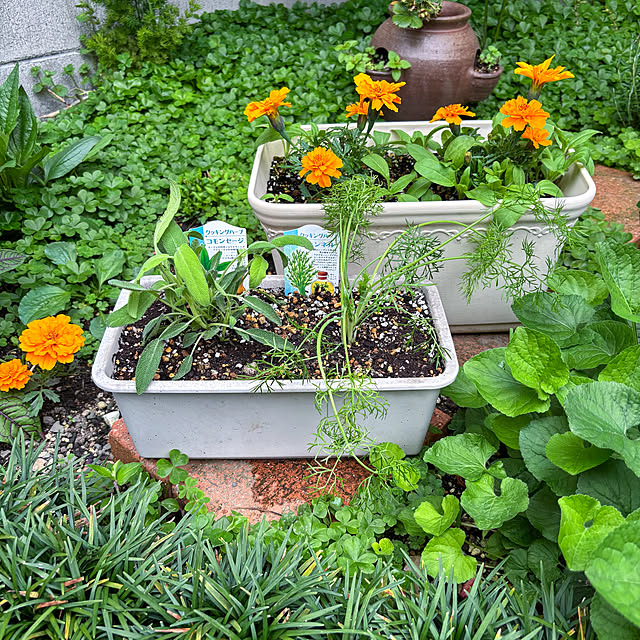 fawnさんの実例写真