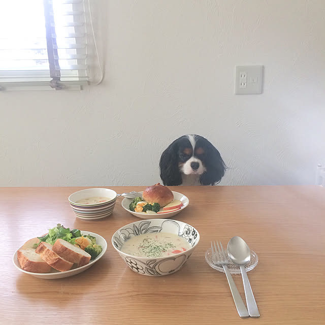 apiさんの実例写真