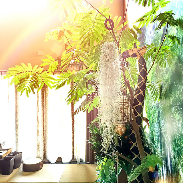 日の光/エスニック/アジアン/エアープランツ/観葉植物...などのインテリア実例 - 2022-05-24 12:46:53