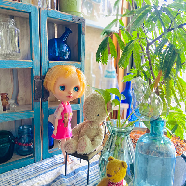 xunさんの実例写真