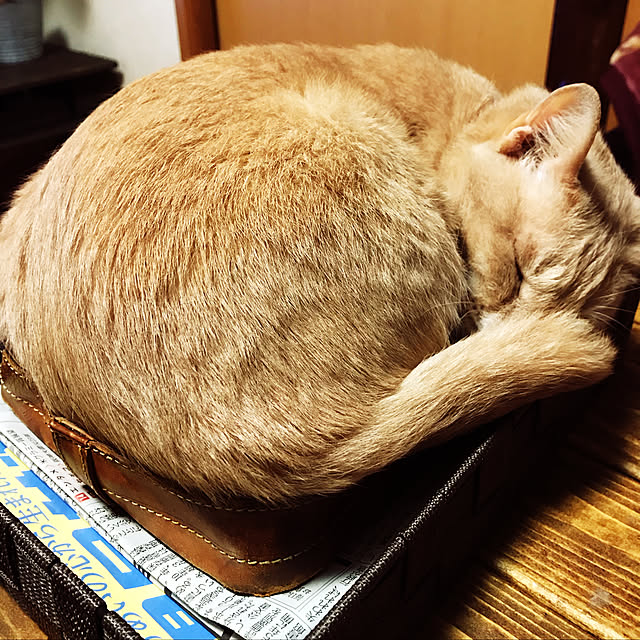 mikan161さんの実例写真