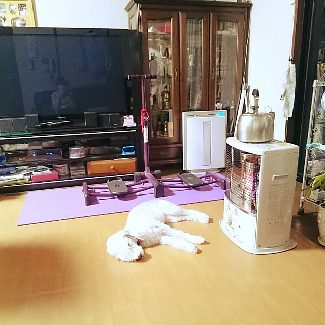 Arashiさんの実例写真