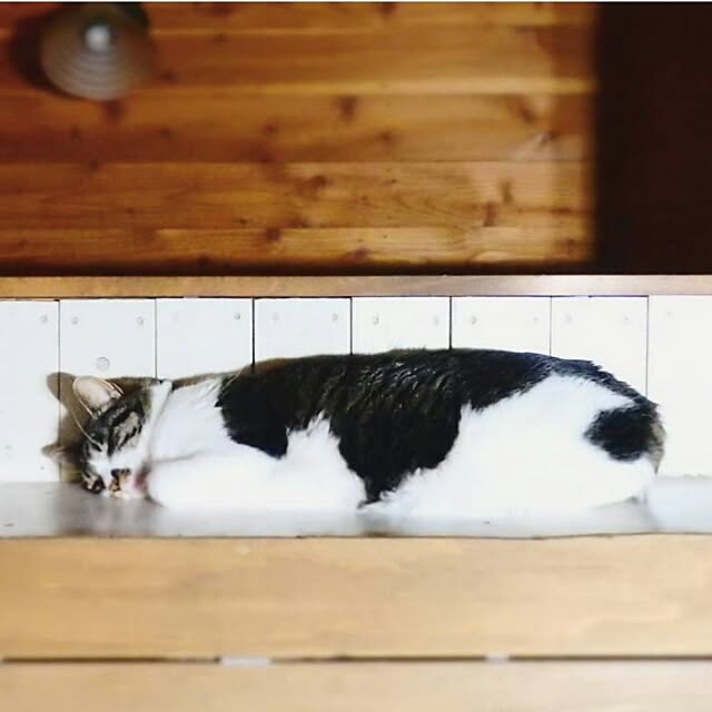 yukiさんの実例写真