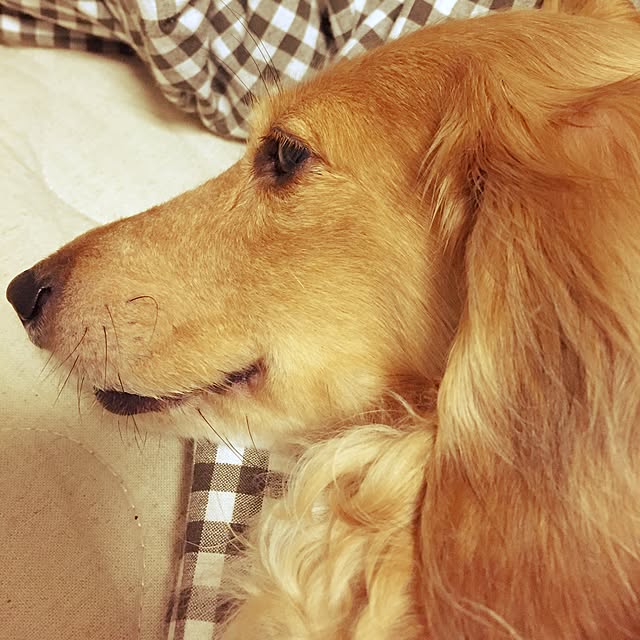 Atelier.mさんの実例写真