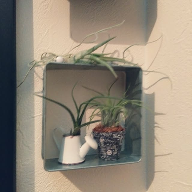 ikt.tamaさんの実例写真