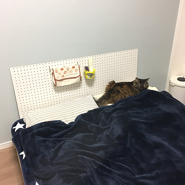 mikomaruさんの実例写真