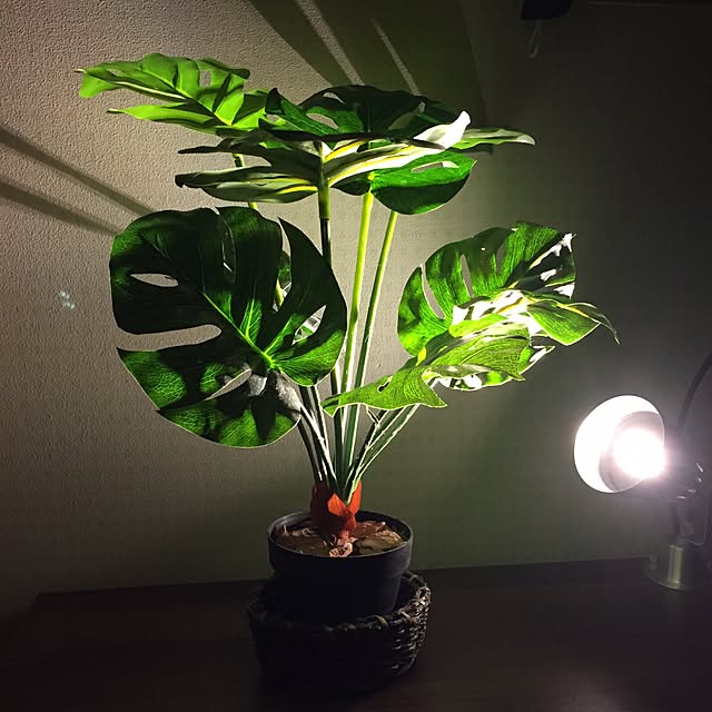 リビング/照明/観葉植物/落ち着き/IKEAのインテリア実例 - 2015-08-18 19:40:26