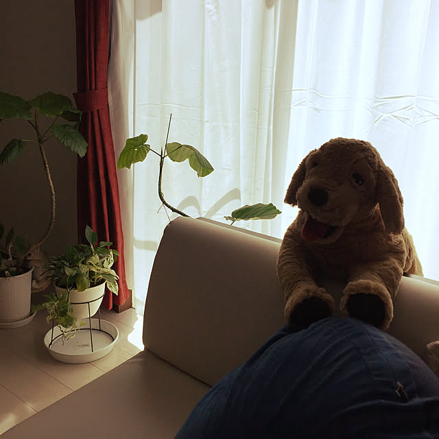 emiさんの実例写真
