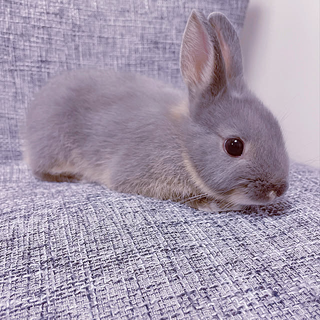 mashiroさんの実例写真