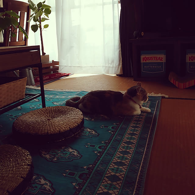fukuさんの実例写真