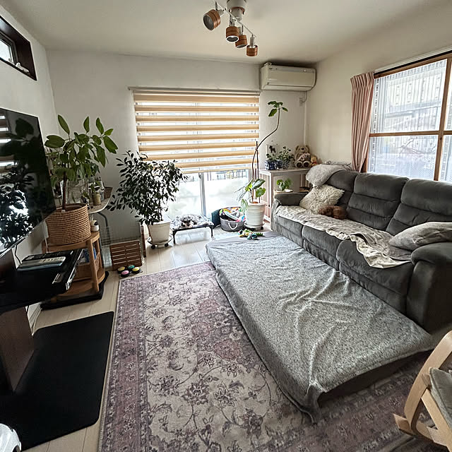 alchoさんの実例写真