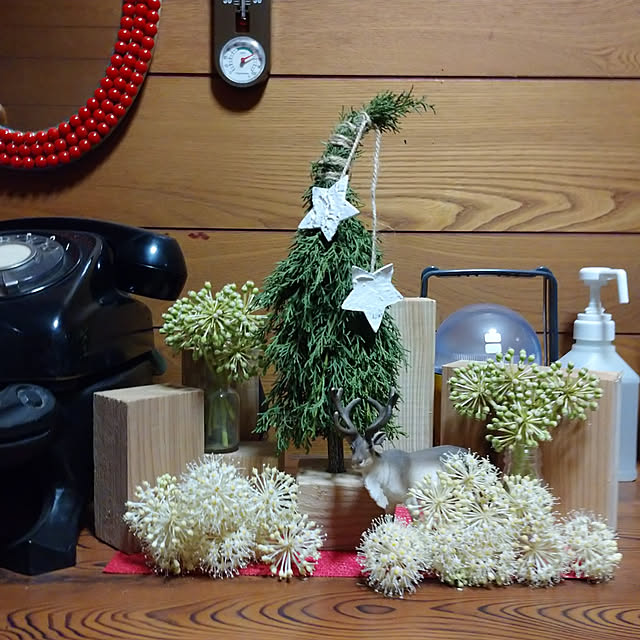 kougaitaさんの実例写真