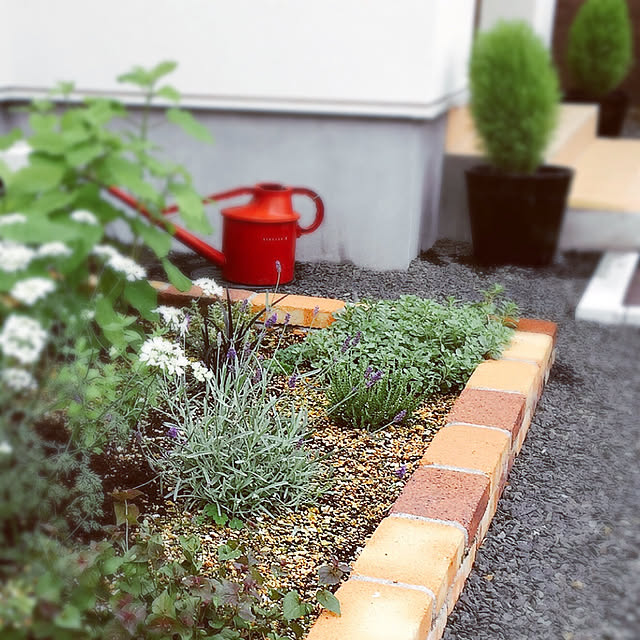 mi_homeさんの実例写真