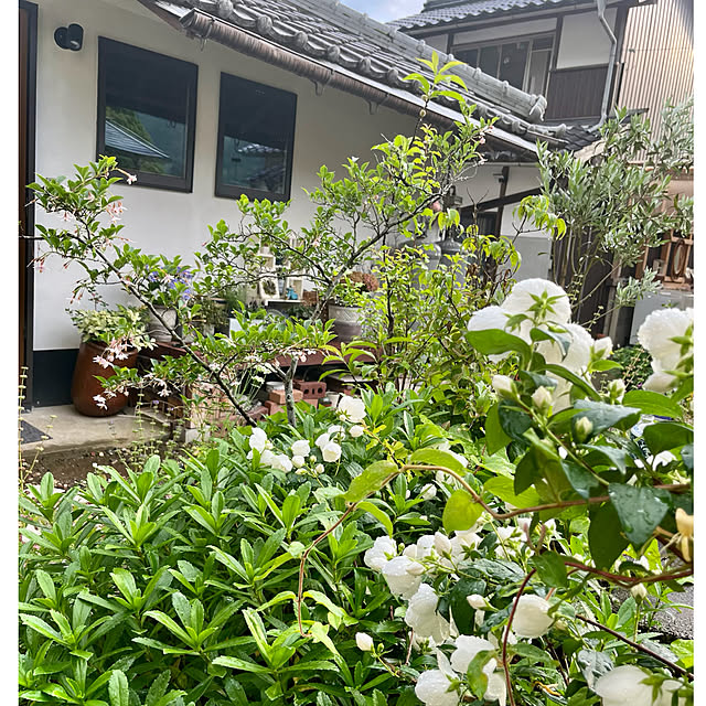 cotaさんの部屋