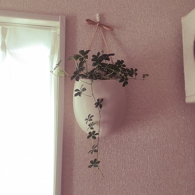 meさんの実例写真