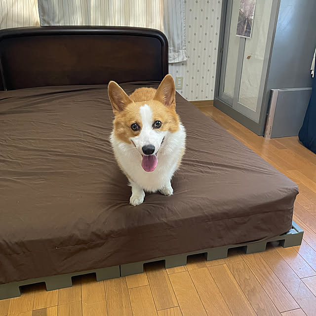 328さんの実例写真