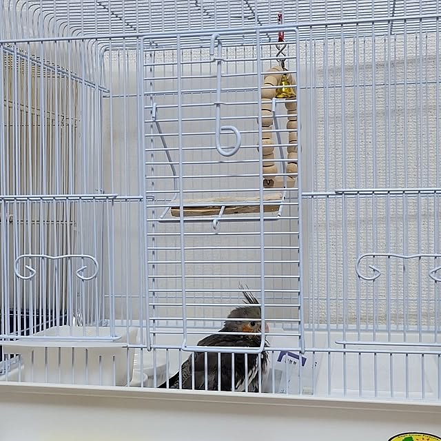 ANTENNAさんの実例写真
